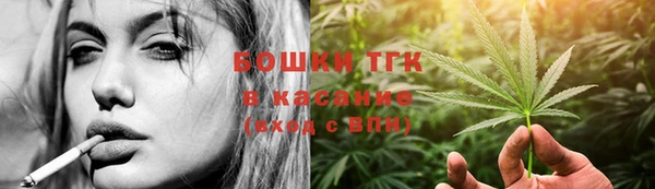 прущие грибы Верхнеуральск