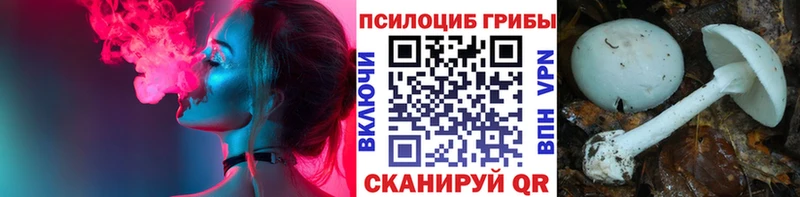 Галлюциногенные грибы ЛСД  наркотики  Назрань 